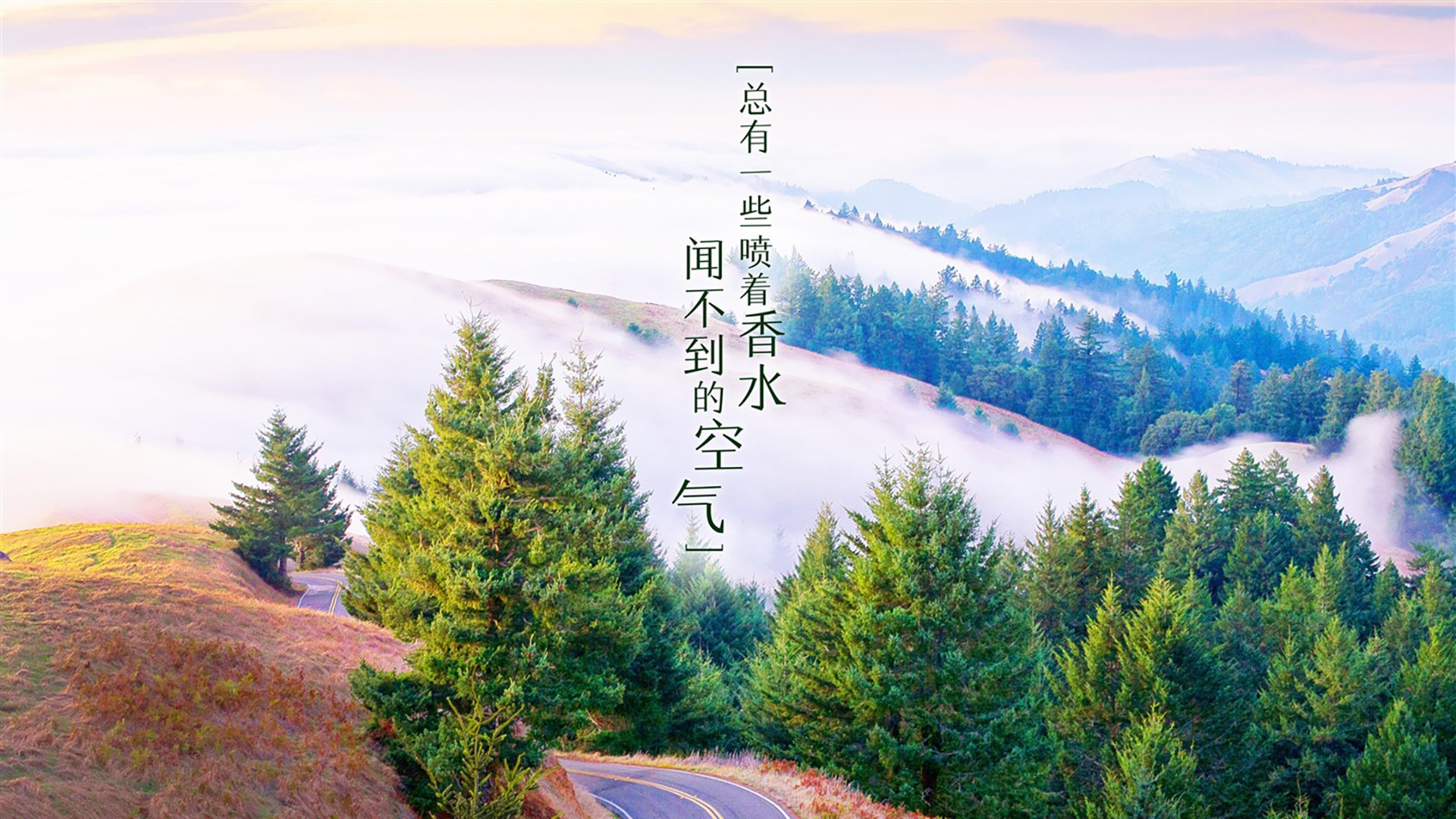 LPL联赛视频回放平台升级，lpl全程回放