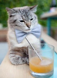 欧洲杯豪门巅峰对决:实力与智慧并重,欧洲杯十大豪门球队