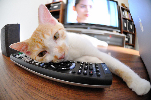 火箭组织战术演练强化无球跑动意识，无杆火箭