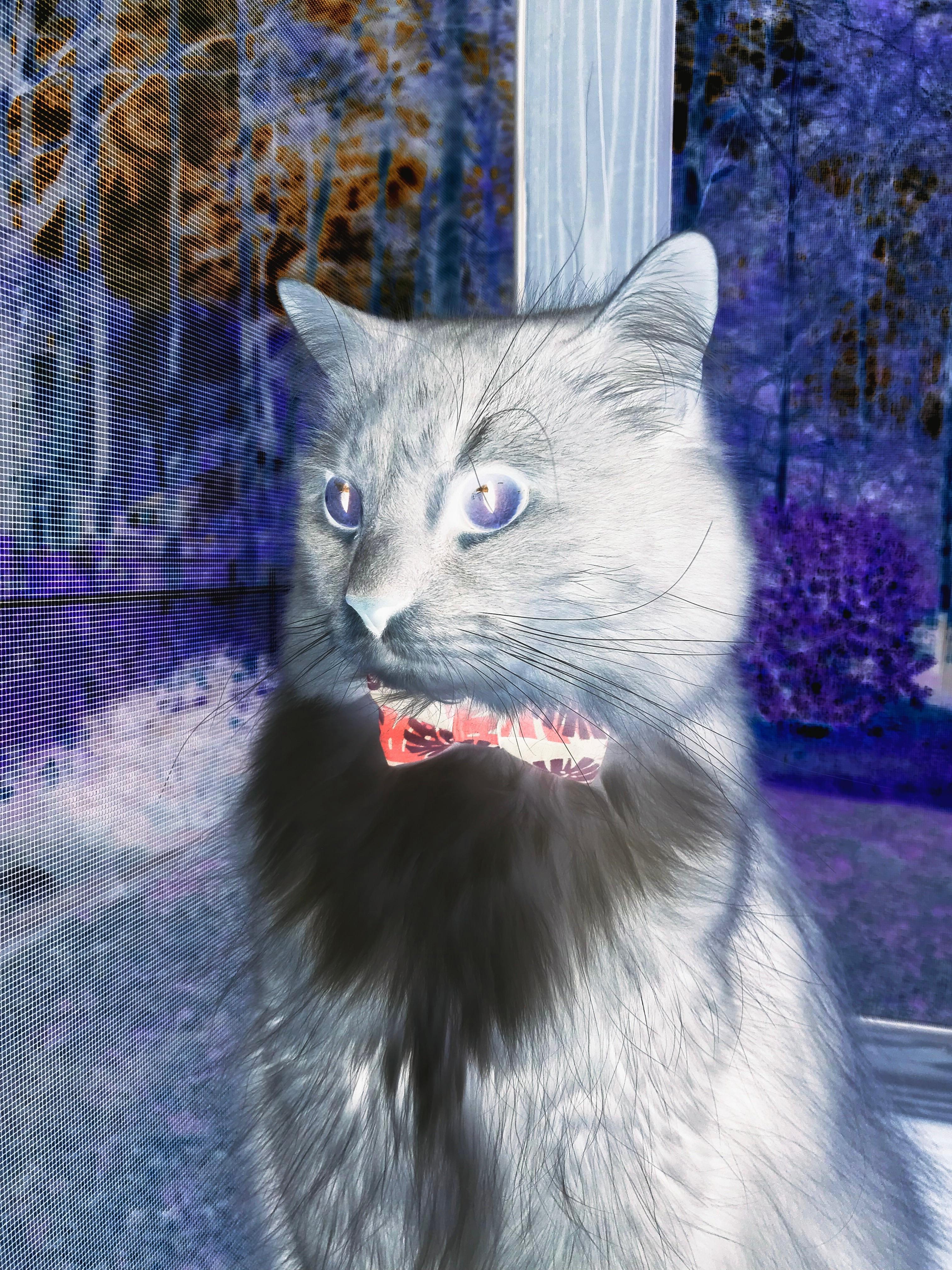 西亚卡姆谈投篮选择有助进攻节奏，西亚卡姆打球风格