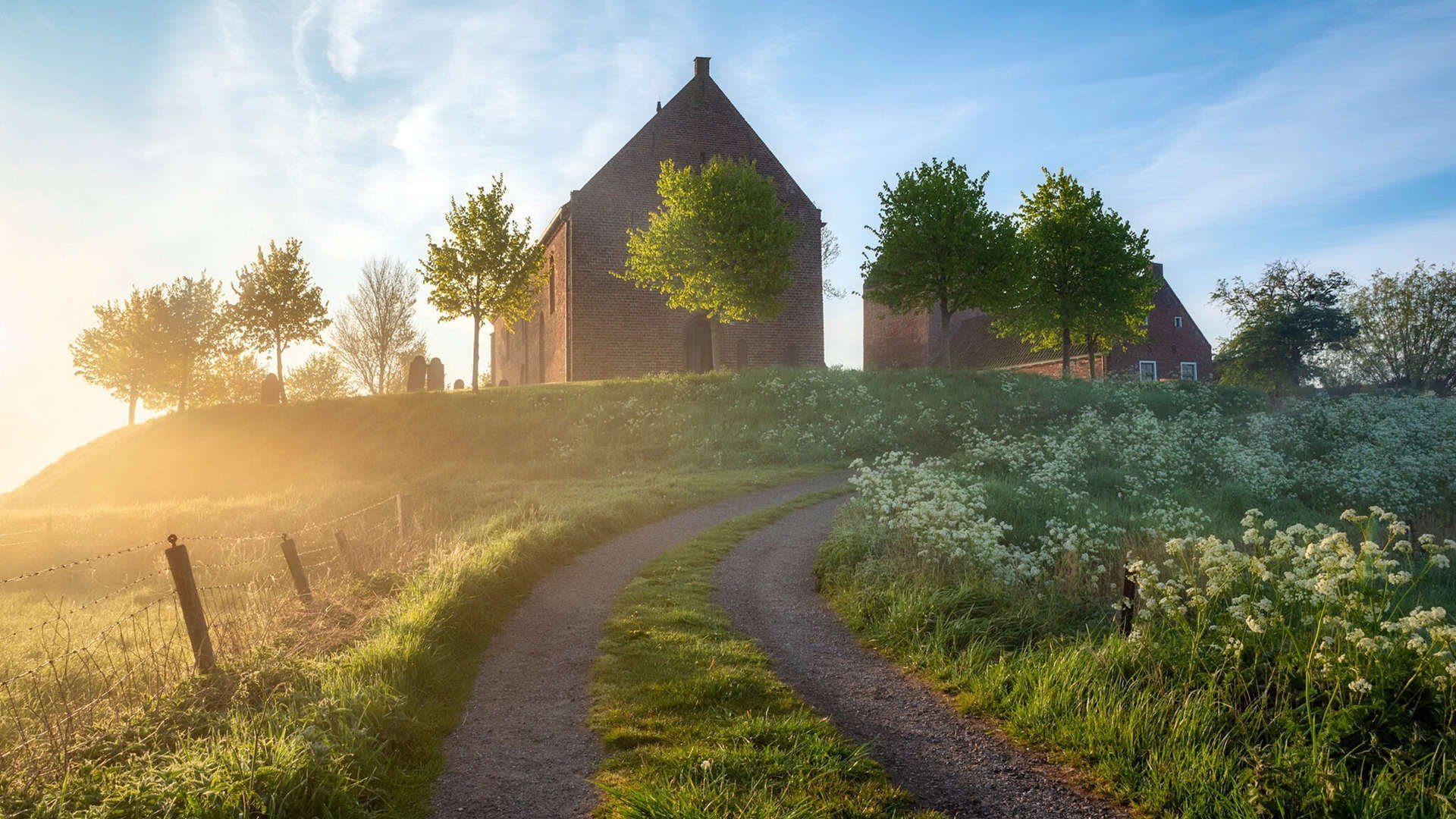 跳水初赛吉尔吉斯斯坦状态逐步提升,吉尔吉斯斯坦 举重