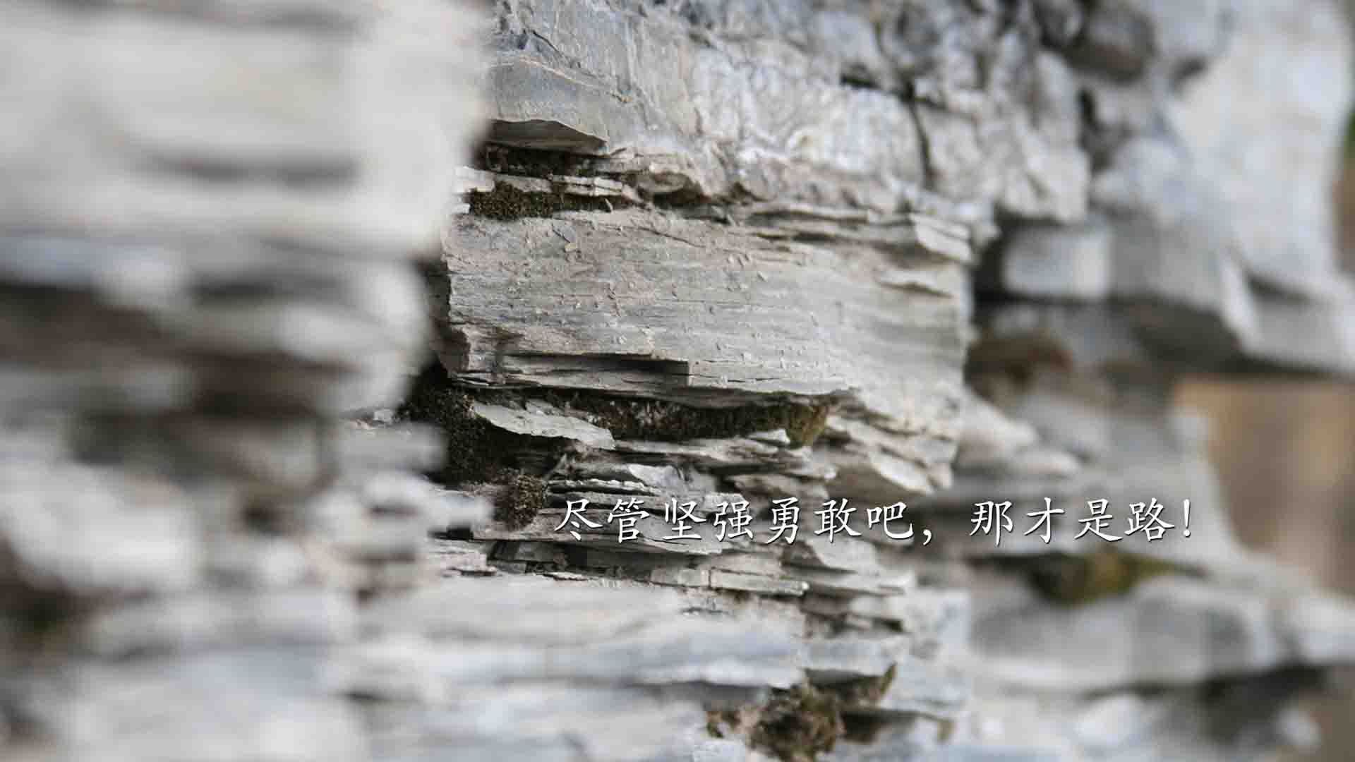 跳水表现突出突尼斯勇闯半决赛，跳水 赛事